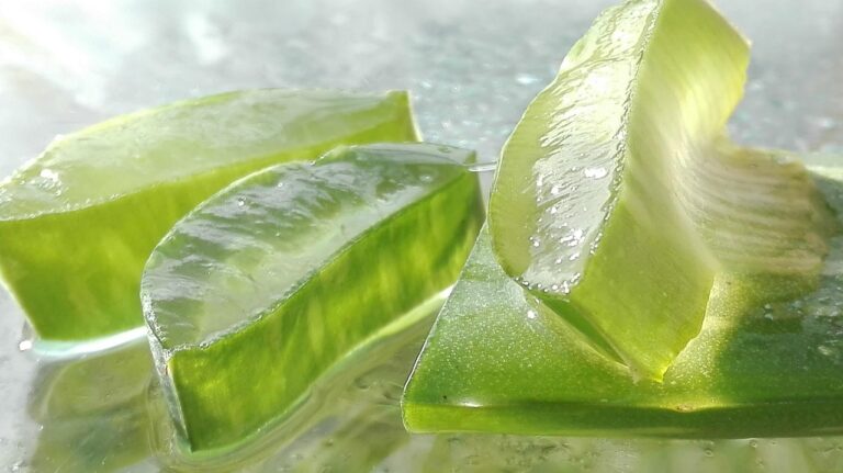 Aloe vera per la ritenzione idrica: più energia e meno gonfiore